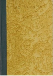 Роман «Арсенал сил. Роман нової конструкції»