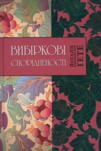 Роман «Вибіркові спорідненості»