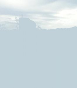 Стаття «Типи скель Бескидів українських Карпат»